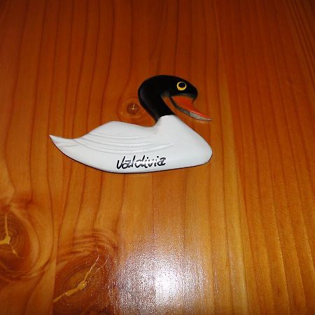 Cabanas Cisne Cuello Negro Apartment Valdivia Bagian luar foto