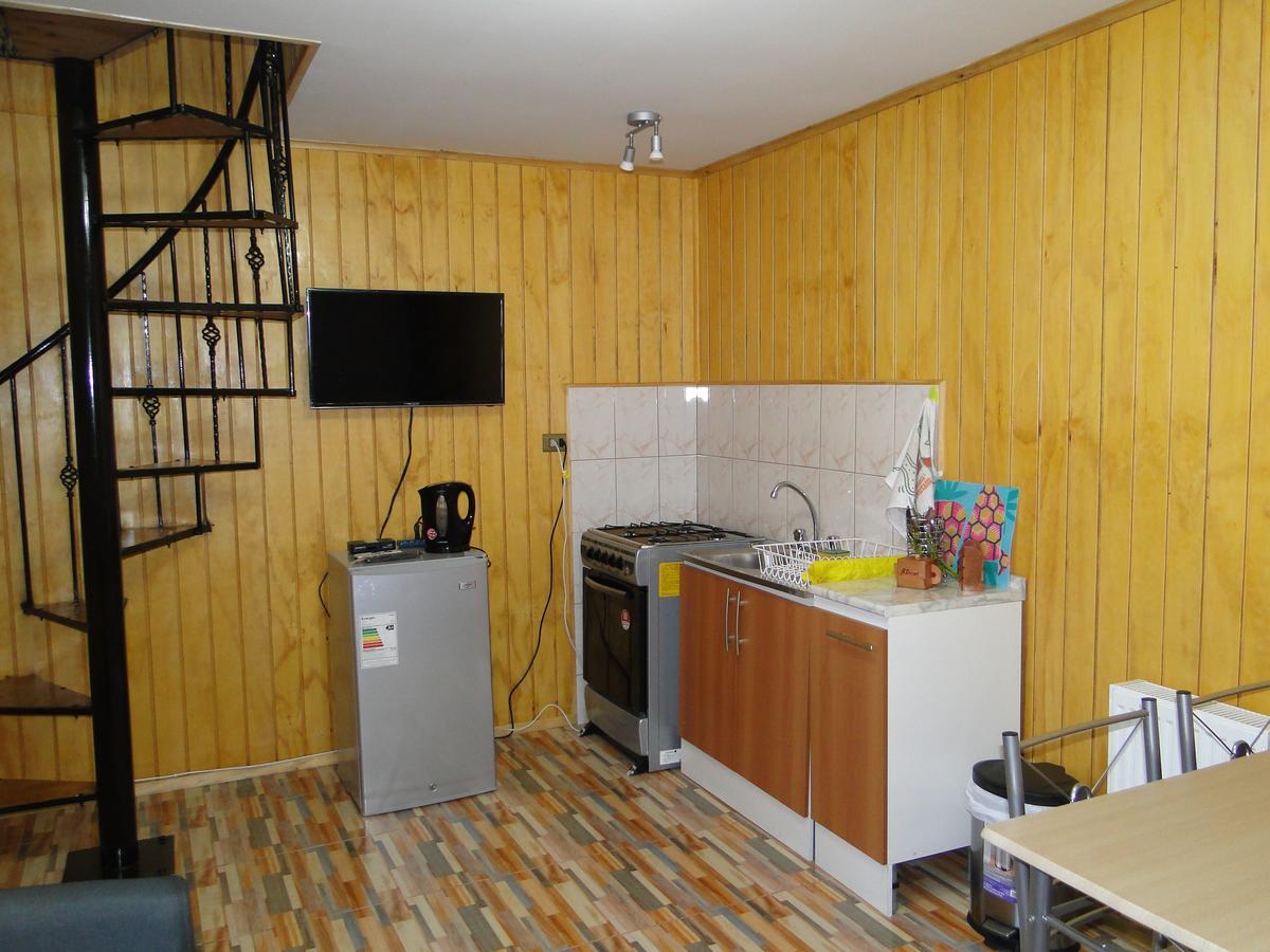 Cabanas Cisne Cuello Negro Apartment Valdivia Bagian luar foto